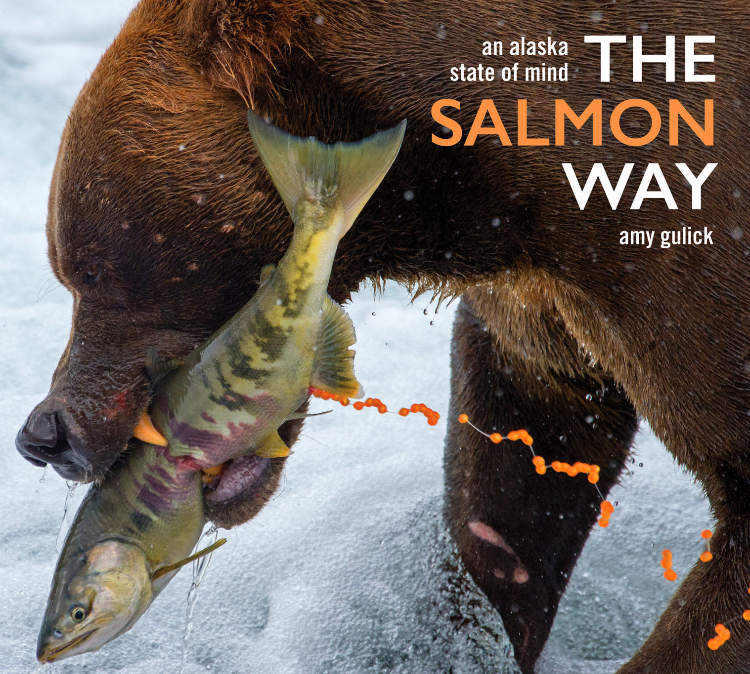 The Salmon Way Book Cover